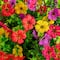 24" UV Resistant Artificial Daisy Hanging Basket DIY Kit